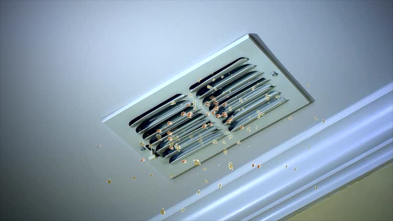 Best Best Air Duct Cleaning Company  in Wellman, IA