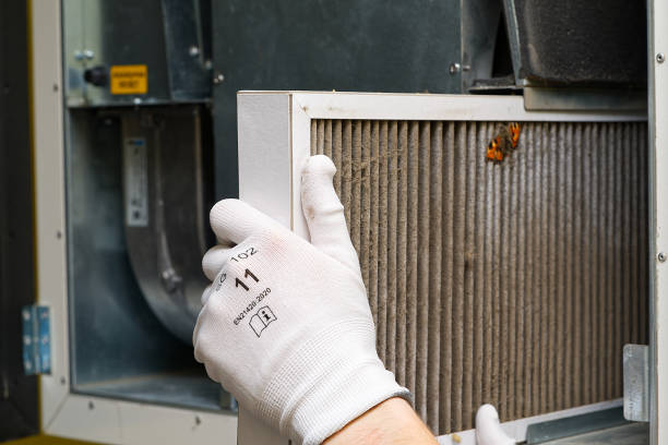 Best Affordable HVAC Duct Cleaning  in Wellman, IA