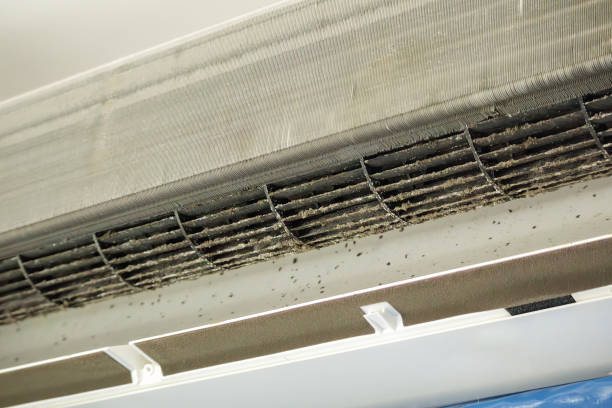 Best Air Duct Cleaning Near Me  in Wellman, IA